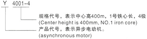 西安泰富西玛Y系列(H355-1000)高压鸠江三相异步电机型号说明